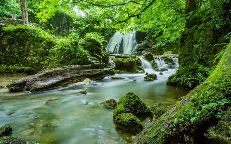 高质量智能系统